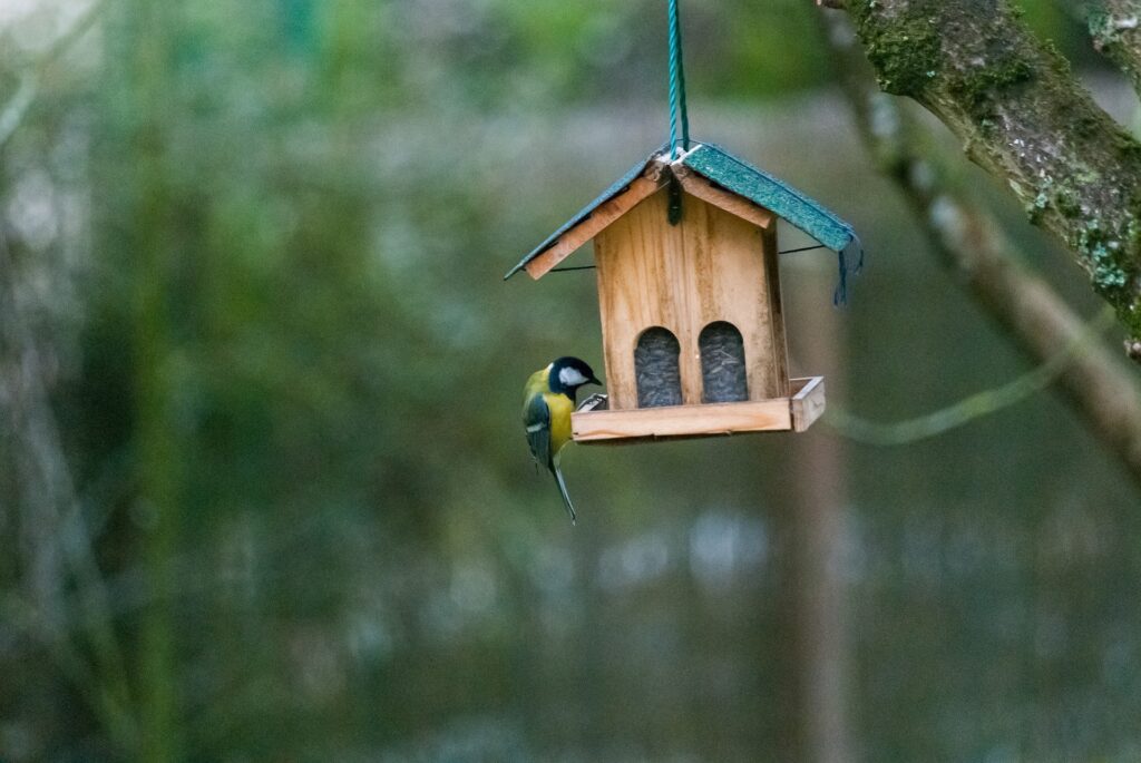 Un nichoir pour les oiseaux de jardin